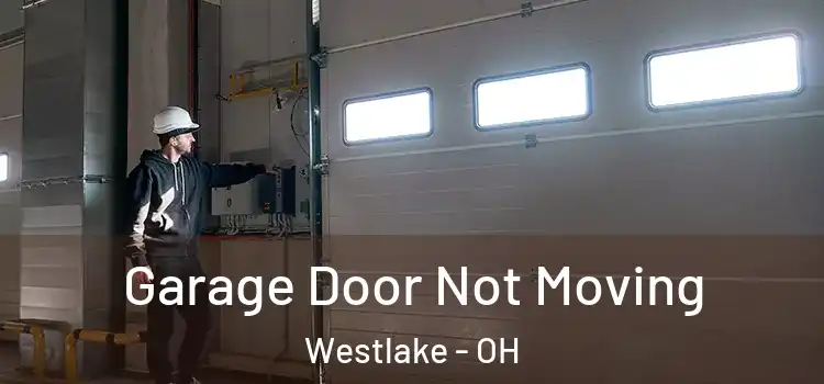  Garage Door Not Moving Westlake - OH