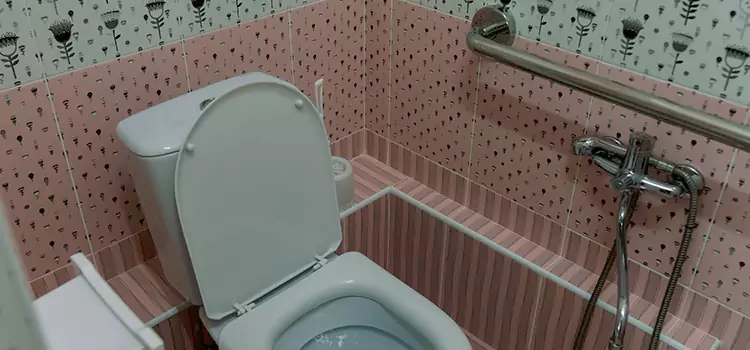 Meeting Diverse Needs With Accessible Restroom Solutions in Westlake, OH