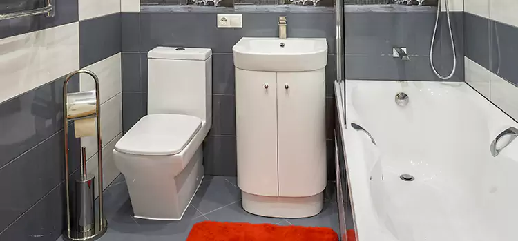 Hansgrohe Shaving Mirror Westlake