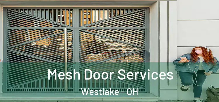 Mesh Door Services Westlake - OH